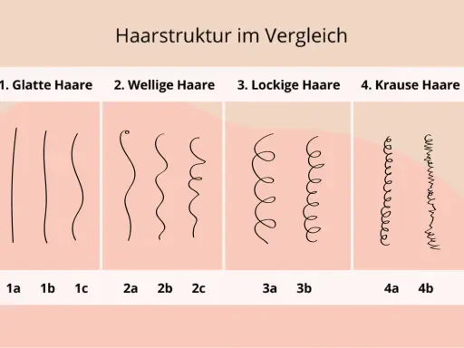 Vergleich von Haartypen: glatt, wellig, lockig und kraus. Hilft, den eigenen haartyp bestimmen.