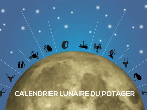 Calendrier lunaire du potager 2026 : la lune et les signes du zodiaque guident vos plantations.