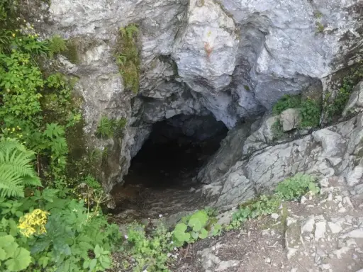 Wejście do Smoczej Jamy w Tatrach, otoczone zielenią i skałami. Ciemny otwór zaprasza do tajemniczego wnętrza.