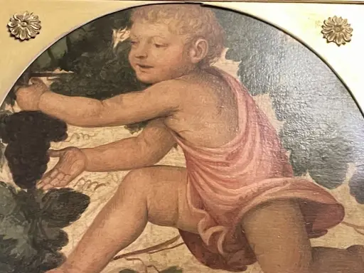 Enfant aux raisins, œuvre de Bernardino Luini, s'étire pour cueillir une grappe sombre.