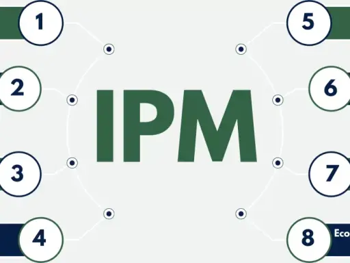 Diagram of IPM components: Monitoring, Prevention, Cultural, Mechanical, Biological, Chemical Control, Integration, and Economic/Environmental Considerations. These highlight the complexity, not necessarily drawbacks of IPM.