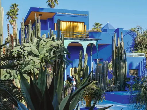 La **maison bleu Majorelle** se dresse fièrement, entourée d'une jungle de cactus et de palmiers. Un spectacle vibrant sous le ciel bleu.