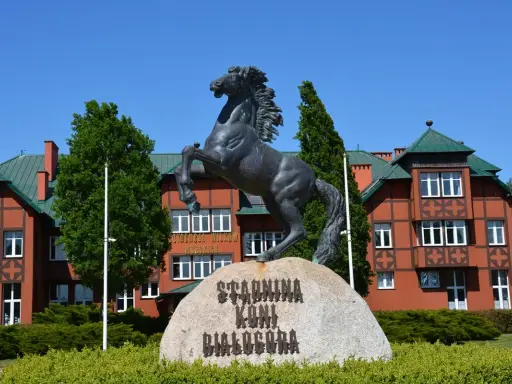 Białogóra: Jazda konna nad morzem galop po plaży, cennik, noclegi