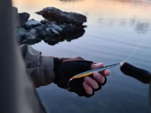 Person med fiskeutrustning håller en laxdrag i handen vid vattnet.