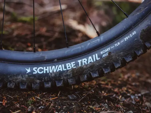 Opony Schwalbe Trail, jeden z rodzajów opon rowerowych, gotowe na leśne ścieżki.