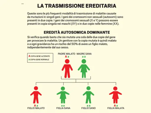 Schema di trasmissione ereditaria autosomica dominante, che illustra come le malattie genetiche più diffuse possono manifestarsi in una famiglia.