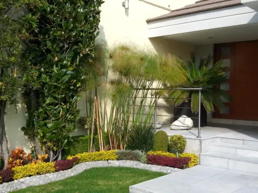 Un rigoglioso spazio davanti casa con alberi, piante di papiro e un prato curato.