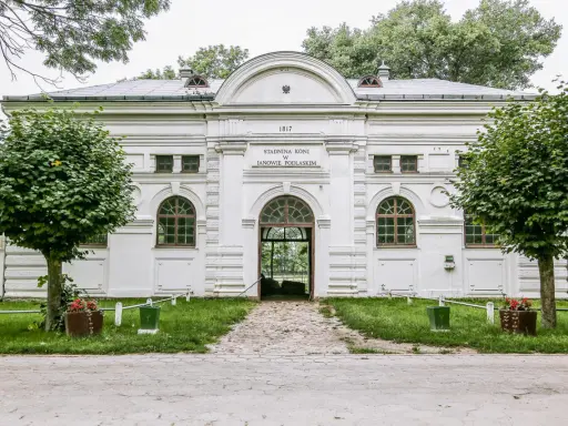 Janów Podlaski: Stadnina Koni Odkryj Tajemnice Polskiej Legendy