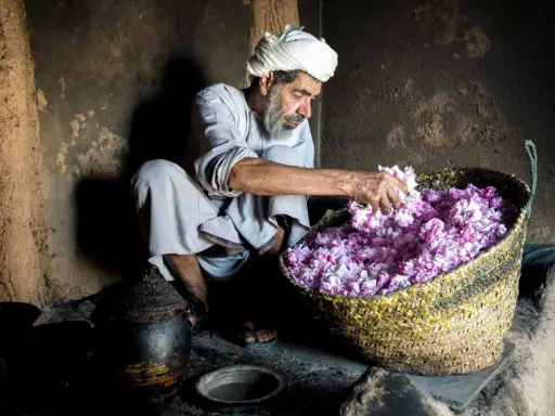 Ein Mann mit Turban und Bart sortiert duftende Blüten in einem Korb. Ein Einblick in die omanische Kultur und traditionelle Handwerkskunst.