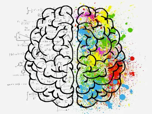 Cerveau divisé : d'un côté, formules mathématiques complexes ; de l'autre, éclaboussures vives. L'influence des couleurs sur la pensée.