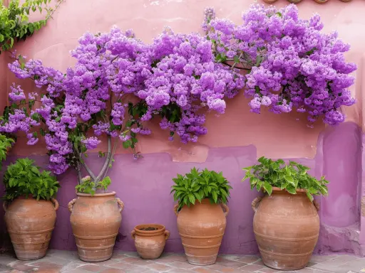 Una exuberante planta morada adorna una pared rosa, con macetas de terracota alineadas abajo.