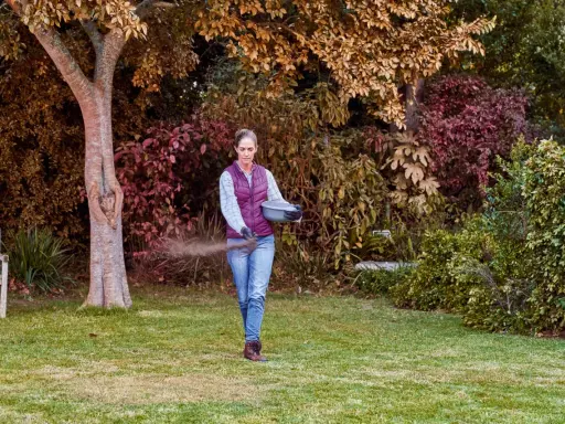Mujer esparciendo abono en el césped, cuidando su jardín. Es el momento ideal para saber cuándo abonar el césped y asegurar su salud.