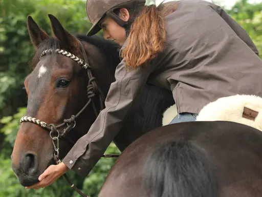 Reiterin mit Sidepull-Trense streichelt Pferdekopf. Vertrauensvoller Moment beim Reiten mit Sidepull.