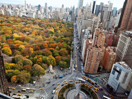 Höstfärger i Central Park, New York. Gula taxibilar trängs på gatorna i Big Apple.