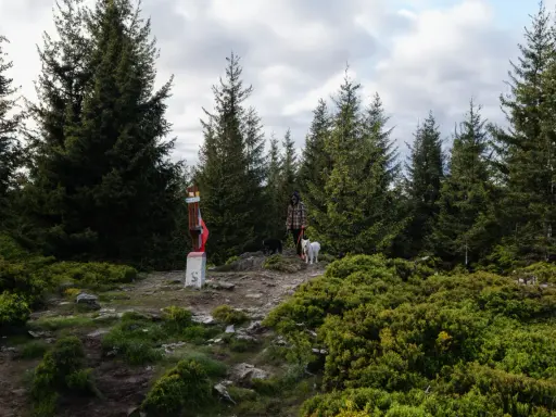 Osoba z dwoma psami na szczycie góry, wśród drzew. Obok znak turystyczny.