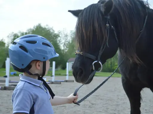 Chłopiec w niebieskim kasku i koszulce polo trzyma wodze czarnego konia. To początek nauki, jak jeździć konno.