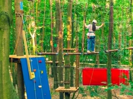Dziewczynka na ściance wspinaczkowej i torze przeszkód w lesie. To jeden z najlepszych parków linowych w Polsce, oferujący emocje na wysokości.