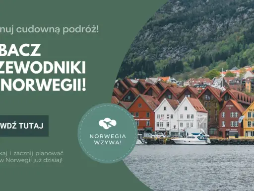 Planujesz studia licencjackie po angielsku w Norwegii? Zobacz przewodniki po tym kraju i zacznij planować podróż!