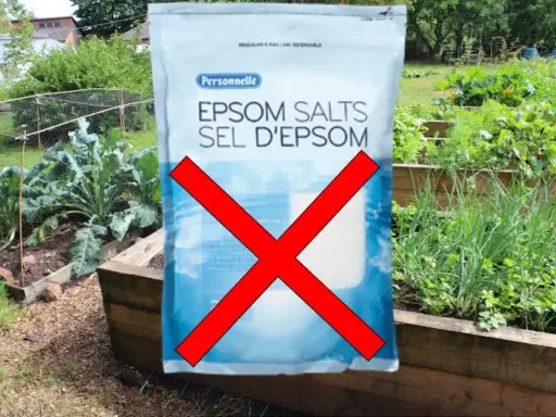 Sac de sels d'Epsom barré, avertissement sur les sels d'epsom danger pour le jardin.