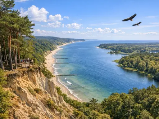 Woliński Park Narodowy: klify, plaża, morze i dwa orły szybujące na niebie. Widok z platformy widokowej.