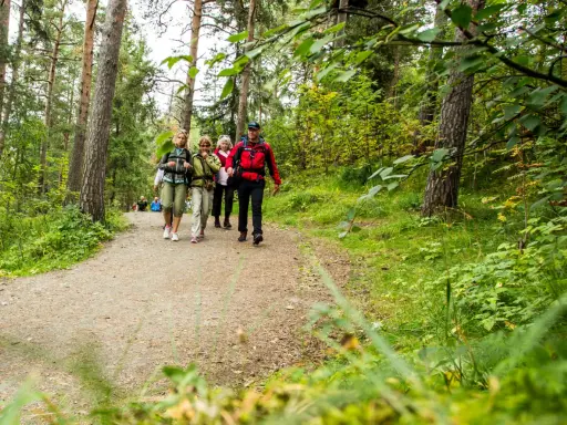 En grupp vandrare går längs en grusväg genom en lummig skog, en del av pilgrimsleder Sverige.