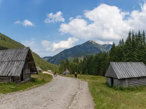 Kamienne schroniska i lasy w Dolinie Chochołowskiej. Trasa turystyczna wiodąca przez malowniczy krajobraz Tatr.