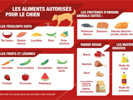 Guide pour une cuisine pour chien : 50 recettes santé. Aliments autorisés : féculents, fruits, légumes, viandes et poissons cuits, huiles.