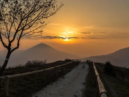Sentiero sul pianoro del Mottolone al tramonto, con un albero spoglio in primo piano e colline nebbiose all'orizzonte.
