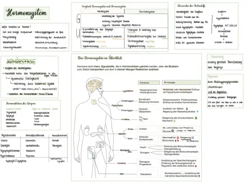 Das Hormonsystem steuert Wachstum, Stoffwechsel und Emotionen. Hormone sind chemische Botenstoffe, die über das Blut transportiert werden.