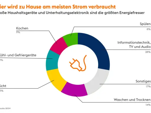 Kreisdiagramm zeigt den **tagesverbrauch strom** zu Hause: Informationstechnik (28%), Sonstiges (17%), Waschen/Trocknen (14%), Licht (13%), Kühl-/Gefriergeräte (11%), Kochen (9%), Spülen (8%).
