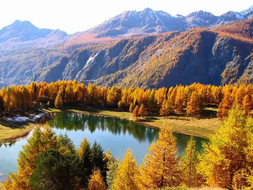 Autunno dorato al lago di Lod, con larici fiammeggianti che si specchiano nelle acque tranquille, montagne maestose sullo sfondo.