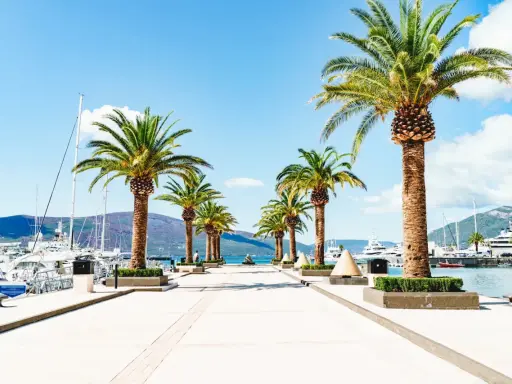 En vacker strandpromenad med palmer leder mot en hamn full av lyxyachter. En perfekt vy vid en flygplats i Montenegro.