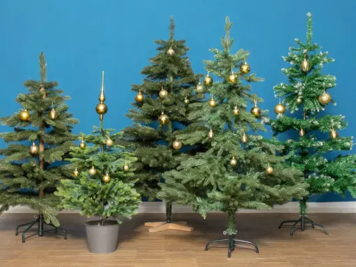 Fünf geschmückte Weihnachtsbäume in verschiedenen weihnachtsbaum arten stehen vor blauem Hintergrund.