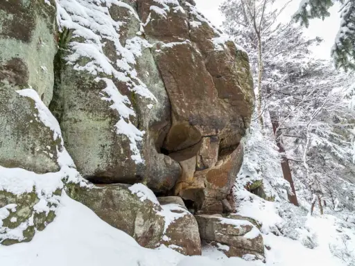 Skalna czaszka w zimowym lesie, pokryta śniegiem.