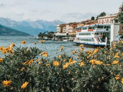 Fiori gialli in primo piano, lago blu, montagne innevate e un battello attraccato. Una perfetta gita fuori porta Milano.