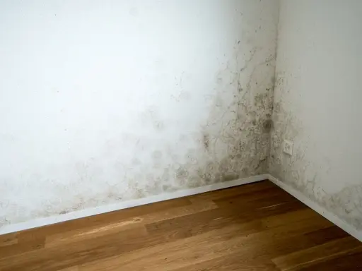 Moho en la esquina de una habitación, indicativo de problemas de humedad y posible alta temperatura de condensación.