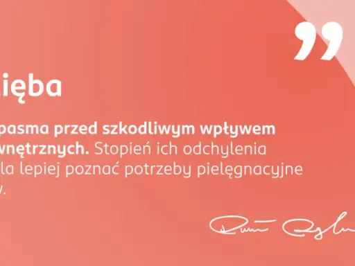 Ekspert L'Oréal Paris radzi: poznaj rodzaje włosów i ich porowatość, by lepiej dobrać pielęgnację. Łuski chronią włosy.