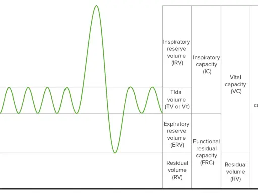 Diagramm zeigt Lungenvolumina, wie Tidalvolumen, Inspiratorisches Reservevolumen und Residualvolumen (RV).