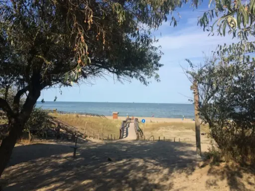 Sentiero sabbioso verso la spiaggia libera colonia marina, con alberi e mare all'orizzonte.