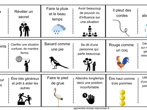 Illustrations de vieilles expressions françaises : vendre la mèche, révéler un secret, faire la pluie et le beau temps, avoir beaucoup de pouvoir, il pleut des cordes, pleuvoir abondamment, mettre les points sur les i, bavard comme une pie, rouge comme...