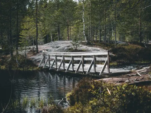 Drewniany mostek nad ciemną wodą, otoczony lasem i skałami. Piękny krajobraz w okolicach Drammen, Norwegia.