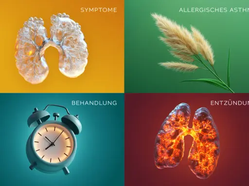 Vier Bilder zeigen: Lunge mit Symptomen, Gräser (allergisches Asthma), Wecker (Behandlung) und entzündete Lunge. So ist Asthma.