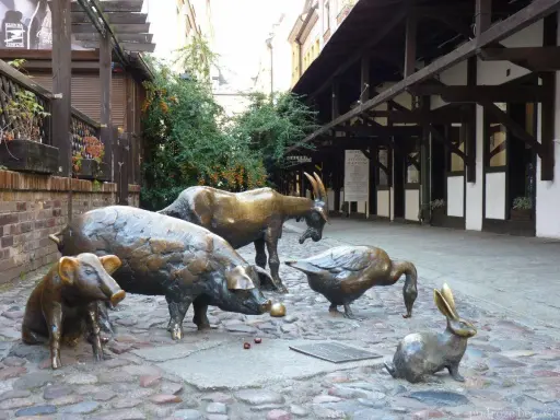 Wrocław przewodnik: rzeźby zwierząt na bruku – świnia, prosię, koza, gęś i królik. Urocza atrakcja turystyczna.