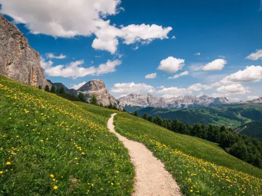 Sentiero sabbioso serpeggia su un prato fiorito di giallo, con imponenti montagne sullo sfondo. Perfetto per esplorare i sentieri escursionistici.