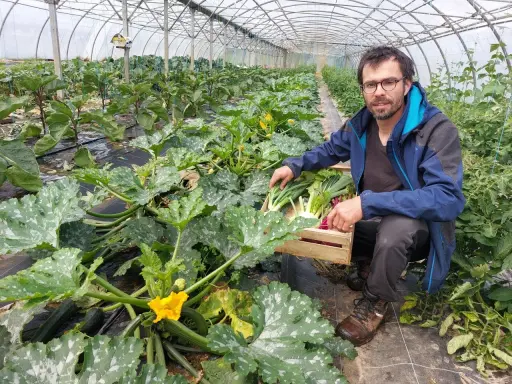 Un homme récolte des légumes dans une serre. Il montre comment organiser son potager avec des courgettes, des poireaux et des radis.