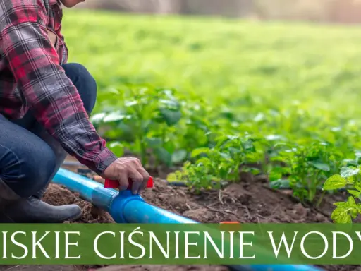 Niskie ciśnienie w zraszaczach? Diagnoza i skuteczne rozwiązania