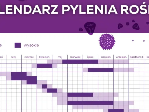 Kalendarz pylenia roślin: brzoza pyli od marca do maja, olcha i leszczyna wcześniej.