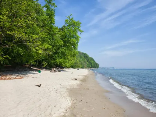 Plaża w Gdańsku z zielonym lasem po lewej i spokojnym morzem po prawej. W oddali widać zabudowania.
