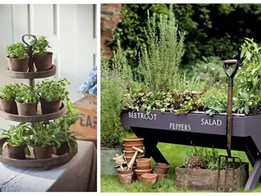 Inspiracje do ogrodu: zioła na piętrowej półce i w skrzyni z napisem "Beetroot, Peppers, Salad".