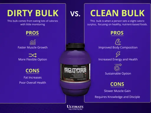 Vergleich: Dirty Bulk vs. Clean Bulk. Dirty Bulk: schneller Muskelaufbau, aber Fettzunahme & schlechte Gesundheit.